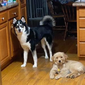 Meet your Posher, Jess